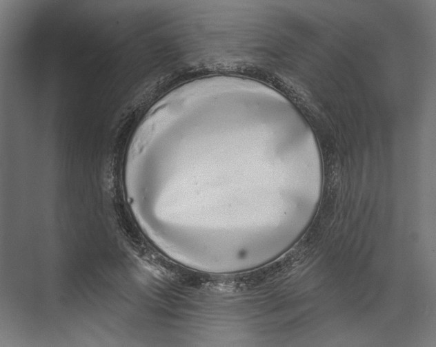 X0000073830687200609071515