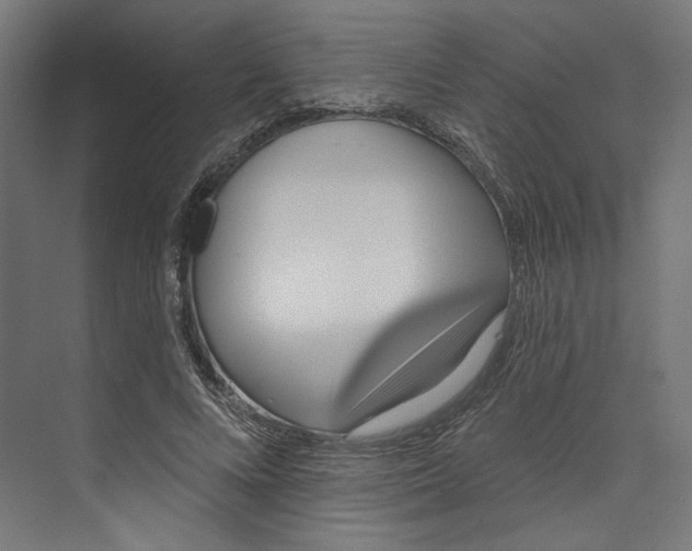 X0000073830688200609071515