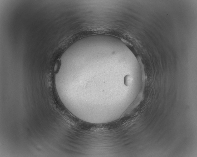 X0000073830689200609071515