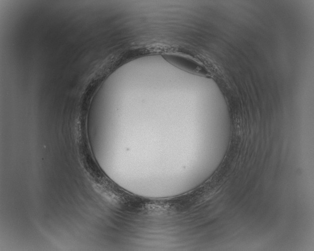 X0000073830690200609071515