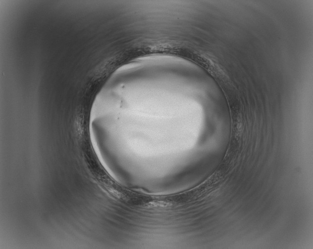 X0000073830691200609071515