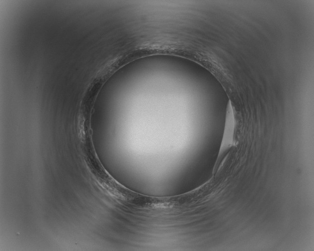 X0000073830692200609071515