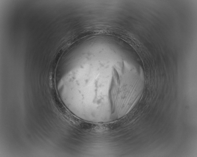 X0000073830696200609071515