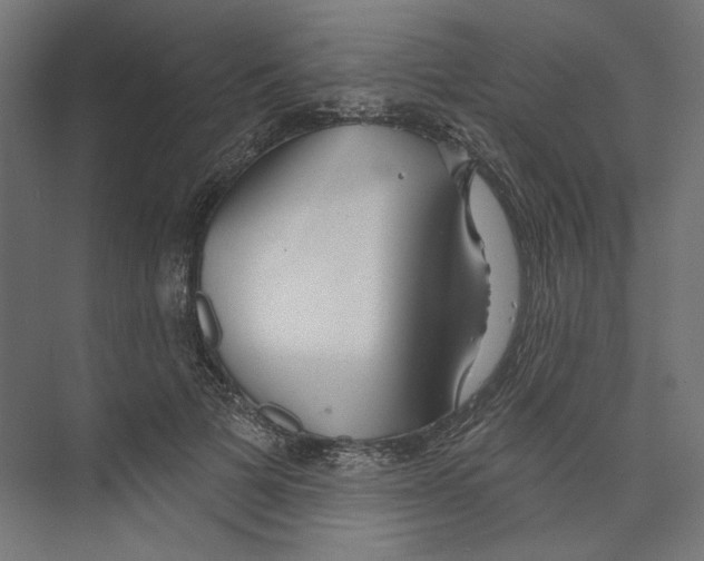 X0000073830697200609071515