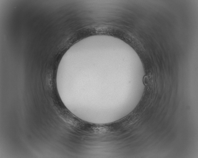 X0000073830698200609071515