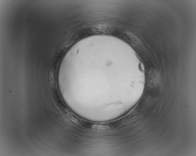 X0000073830699200609071515