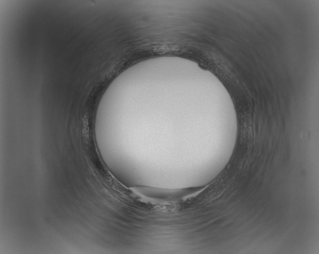 X0000073830700200609071515