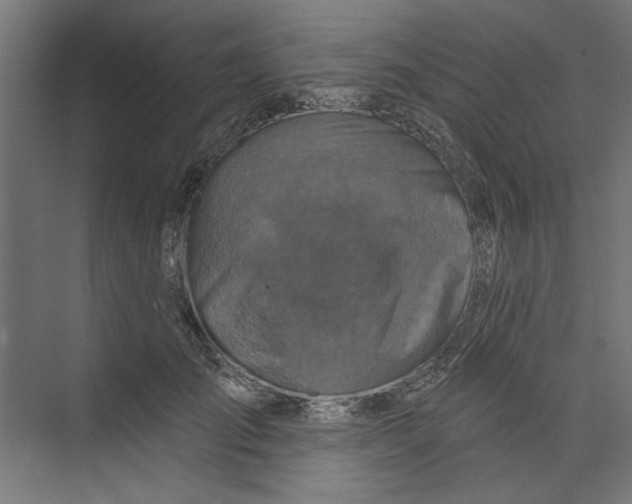 X0000073830701200609071515