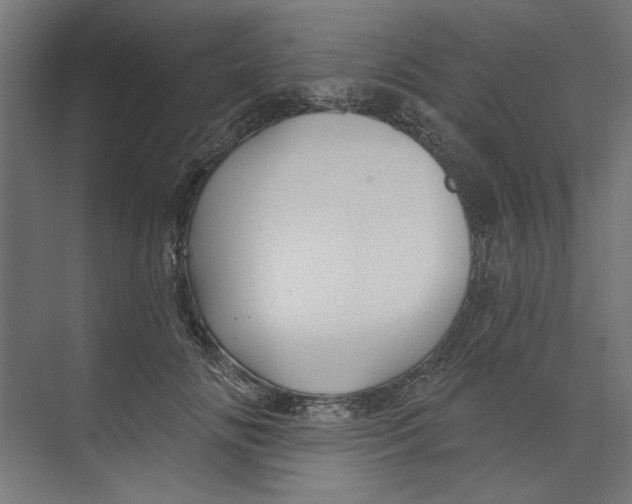 X0000073830702200609071515