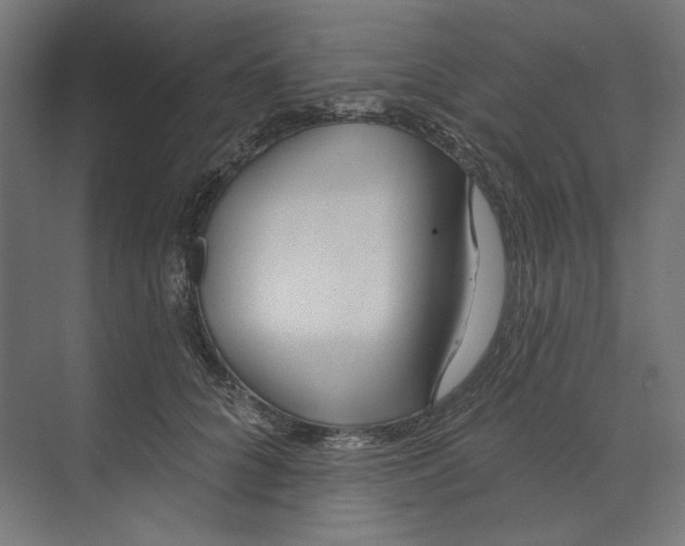 X0000073830704200609071515