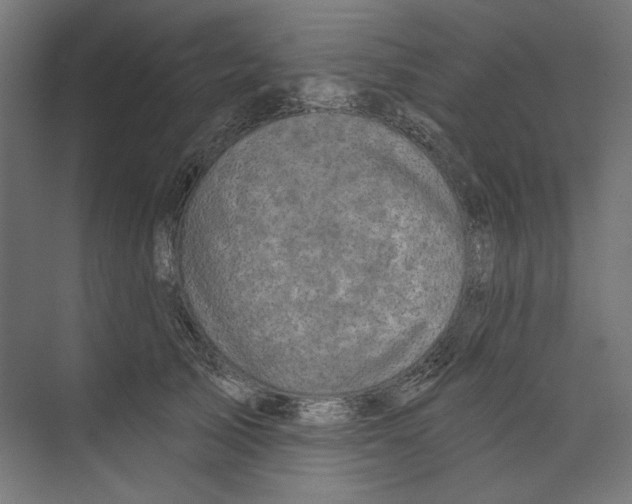 X0000073830705200609071515