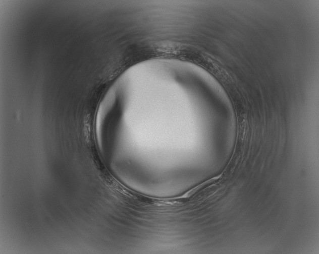 X0000073830707200609071515