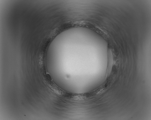 X0000073830708200609071515