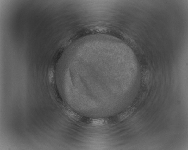 X0000073830709200609071515