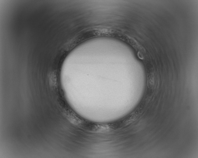 X0000073830715200609071515