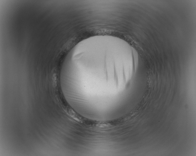 X0000073830716200609071515