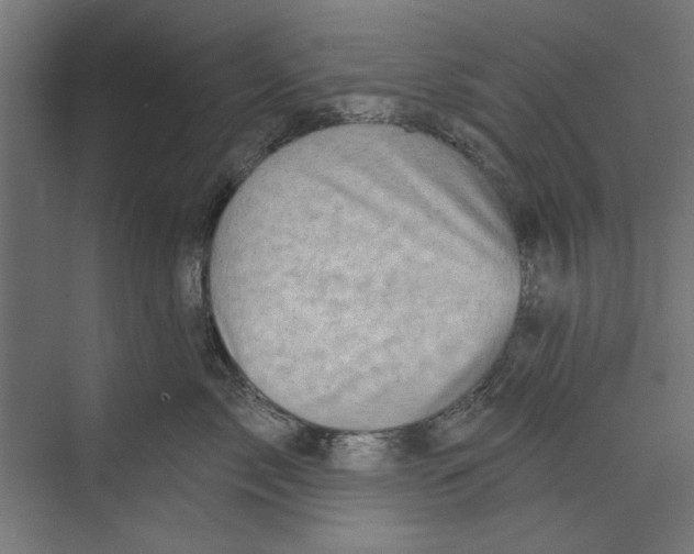 X0000073830717200609071515