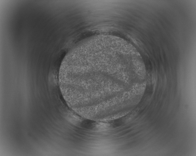 X0000073830718200609071515