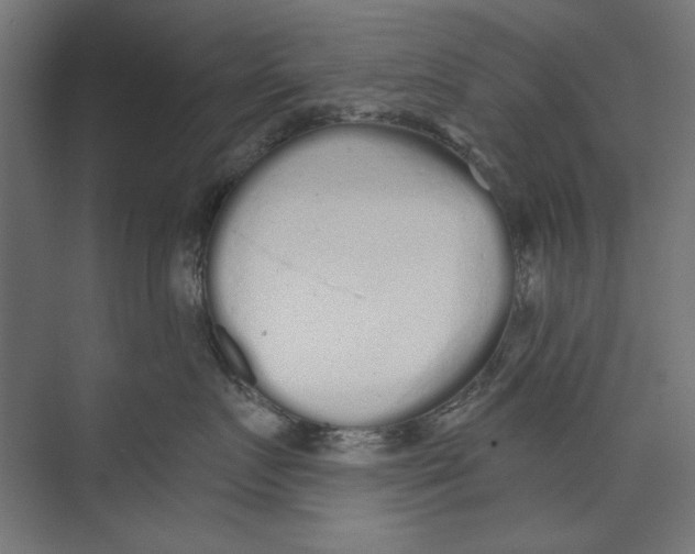 X0000073830719200609071515