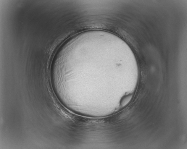 X0000073830721200609071514