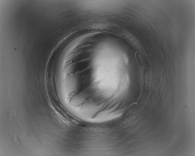 X0000073830722200609071514