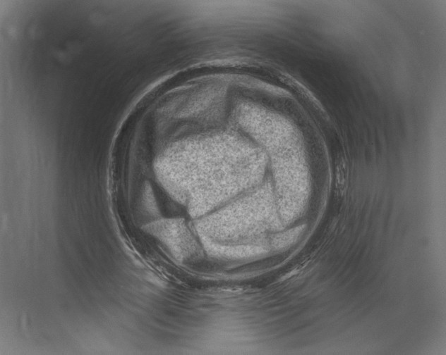 X0000073830724200609071514