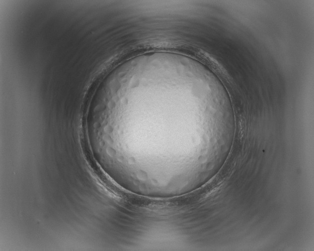 X0000073830725200609071514