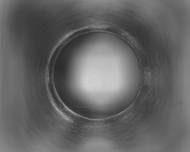 X0000073830726200609071514