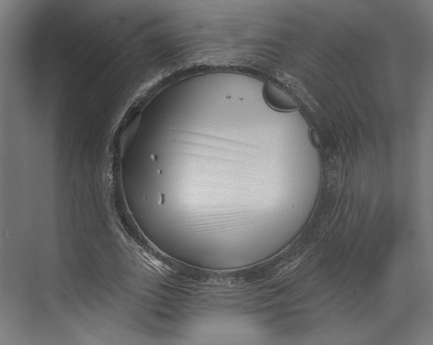 X0000073830727200609071514