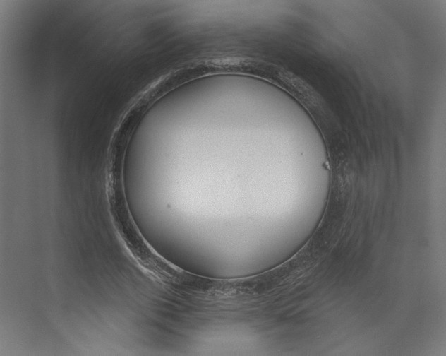 X0000073830728200609071514