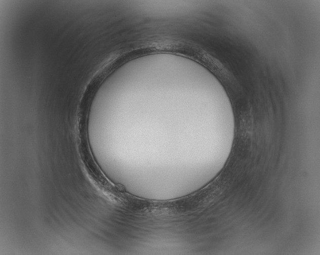 X0000073830730200609071514