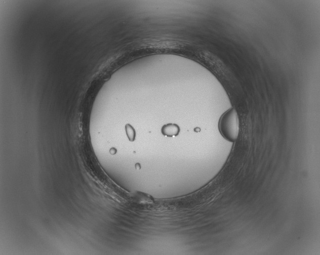 X0000073830731200609071514