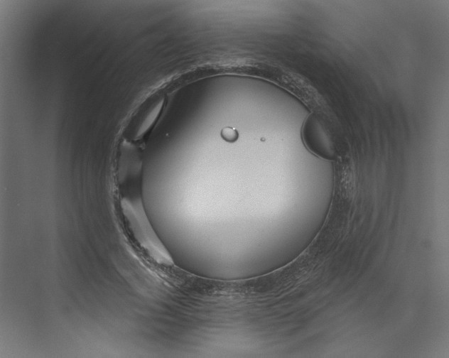 X0000073830732200609071514