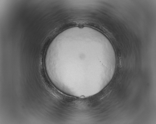 X0000073830733200609071514