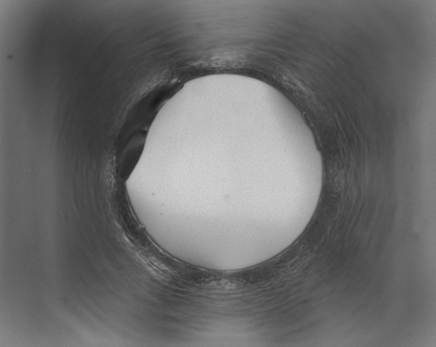 X0000073830735200609071514