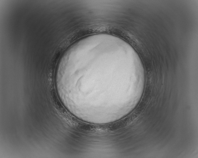 X0000073830737200609071514