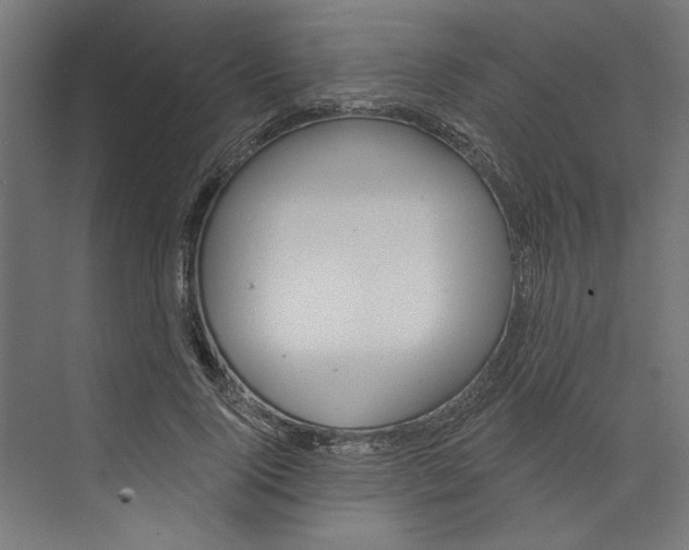 X0000073830740200609071514