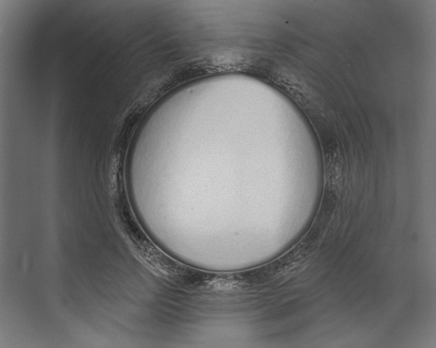 X0000073830742200609071514