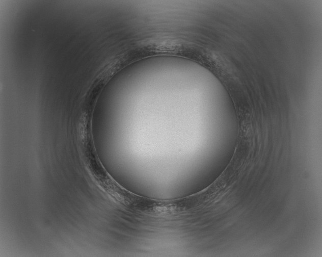 X0000073830744200609071514