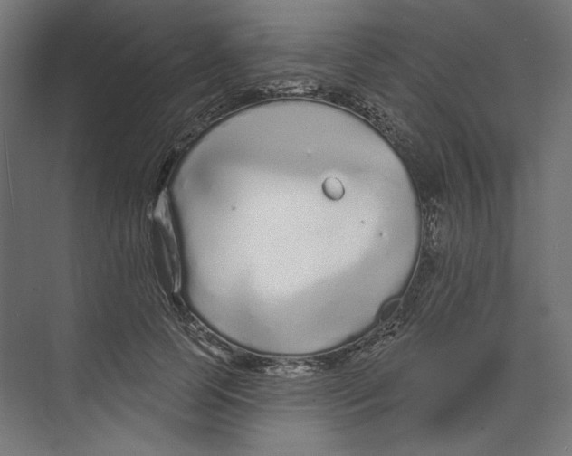 X0000073830745200609071514