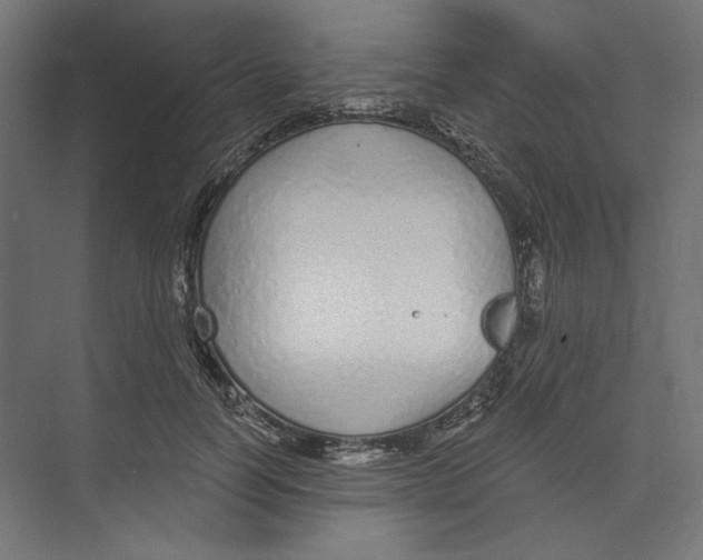 X0000073830746200609071514