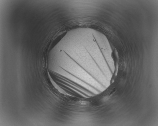 X0000073830748200609071514