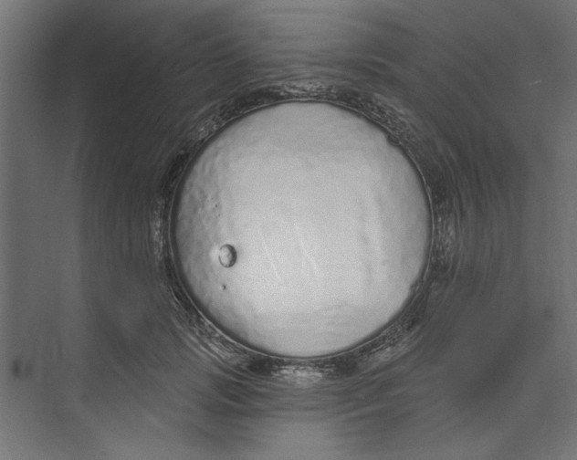 X0000073830749200609071514