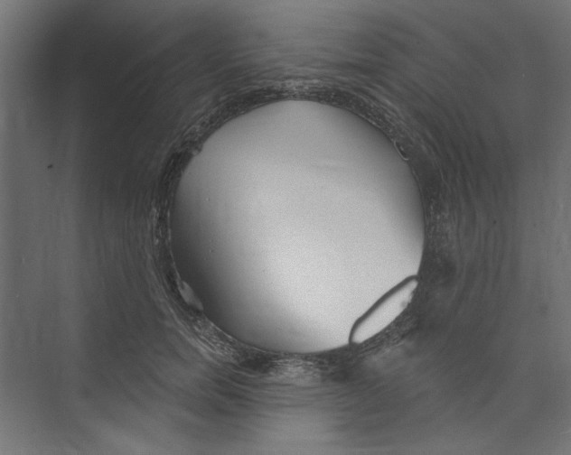 X0000073830750200609071514