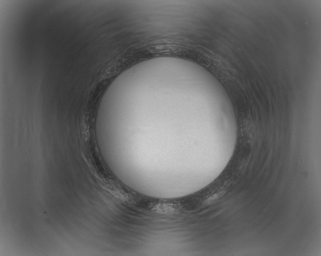 X0000073830751200609071514