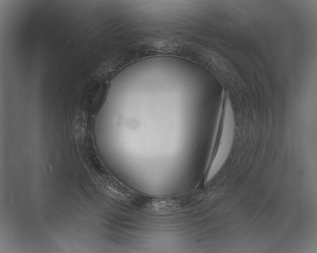 X0000073830752200609071514