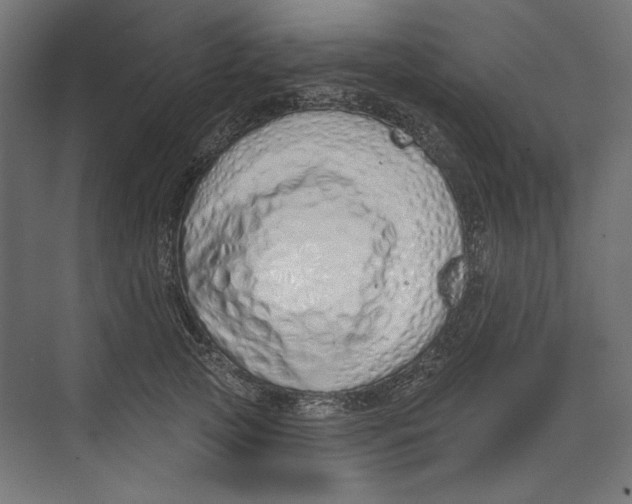 X0000073830753200609071514