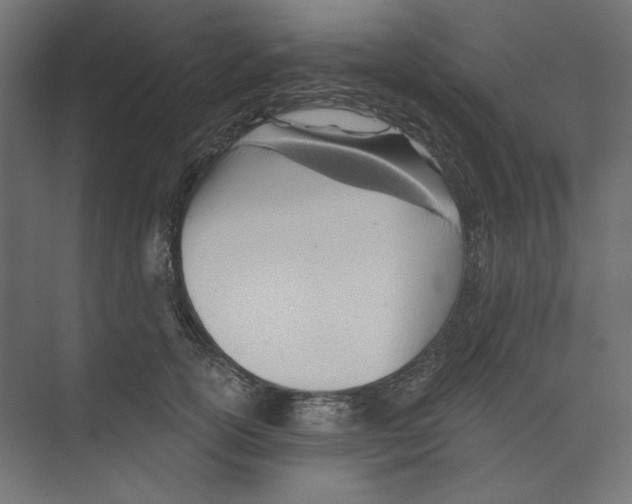 X0000073830754200609071514