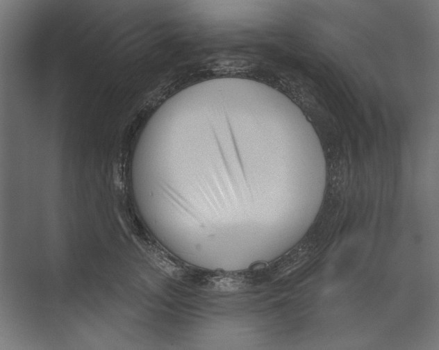 X0000073830755200609071514