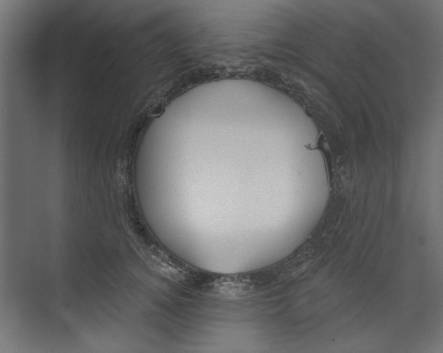 X0000073830756200609071514